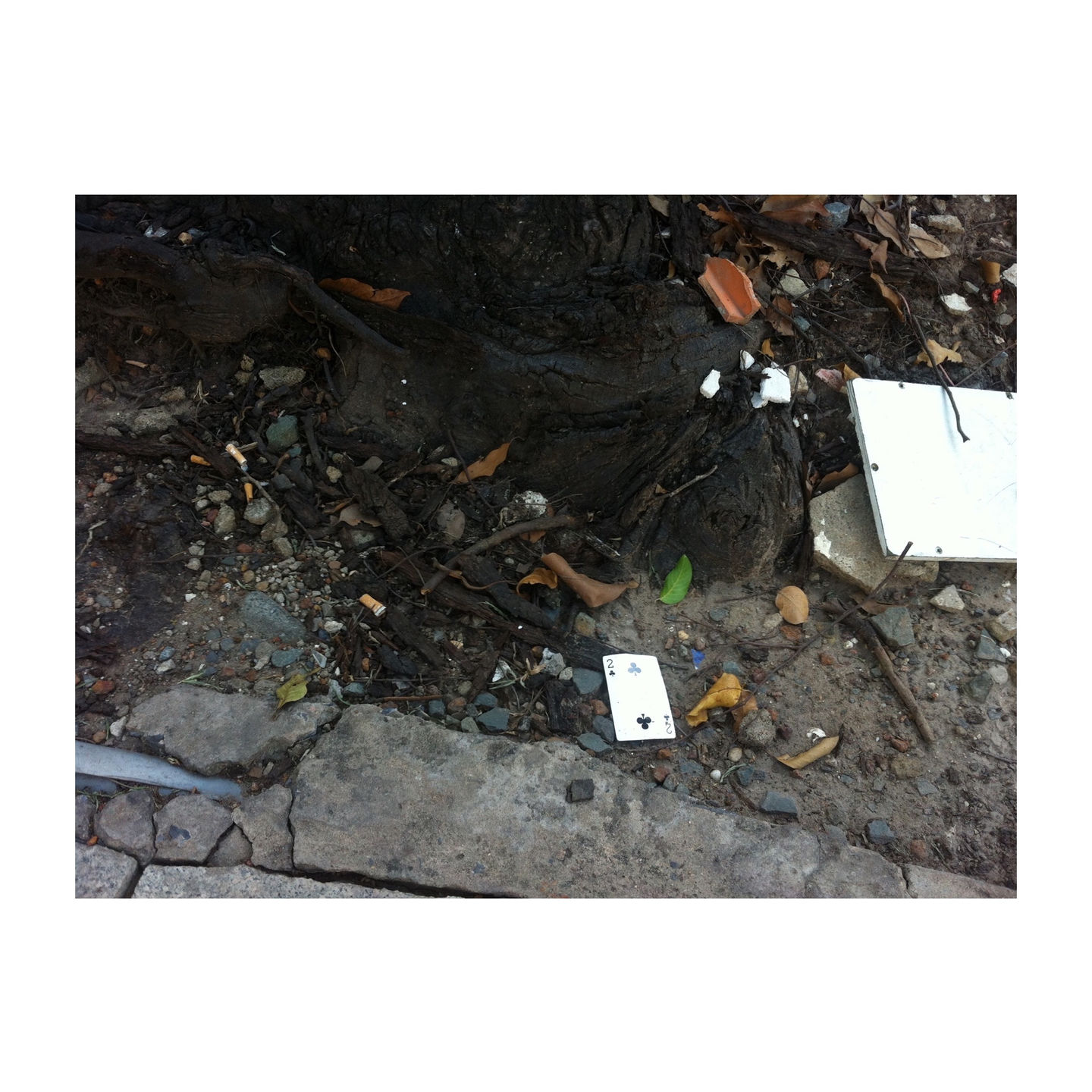 playing card on street trash litter garbage conceptual art