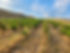Resized_20230613_203911.JPEG