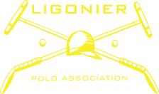 LPA_Yellow.png