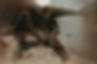 MSP_1259.jpg