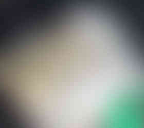 Bulk cat food and essential supplies funded by the Humana Foundation corporate matching gift.