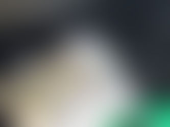 Today’s Update Turning Care Into Action 🐾