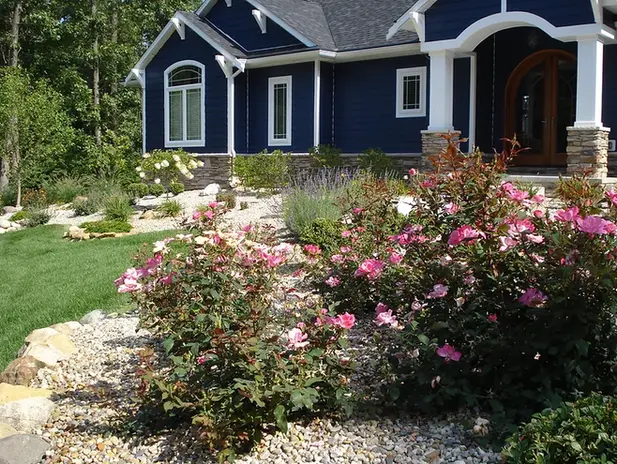 Rose Planting Bed Installation