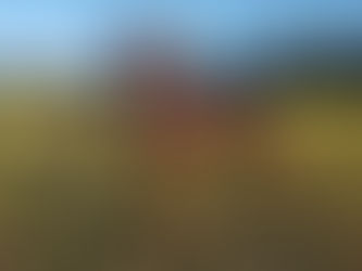 💪 𝗕𝗨𝗜𝗟𝗗𝗜𝗡𝗚 𝗠𝗨𝗦𝗖𝗟𝗘 𝗙𝗢𝗥 𝗙𝗨𝗡𝗖𝗧𝗜𝗢𝗡 𝗡𝗢𝗧 𝗘𝗚𝗢💪