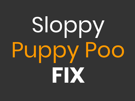 SOS - 14 Puppies with Sloppy Poos