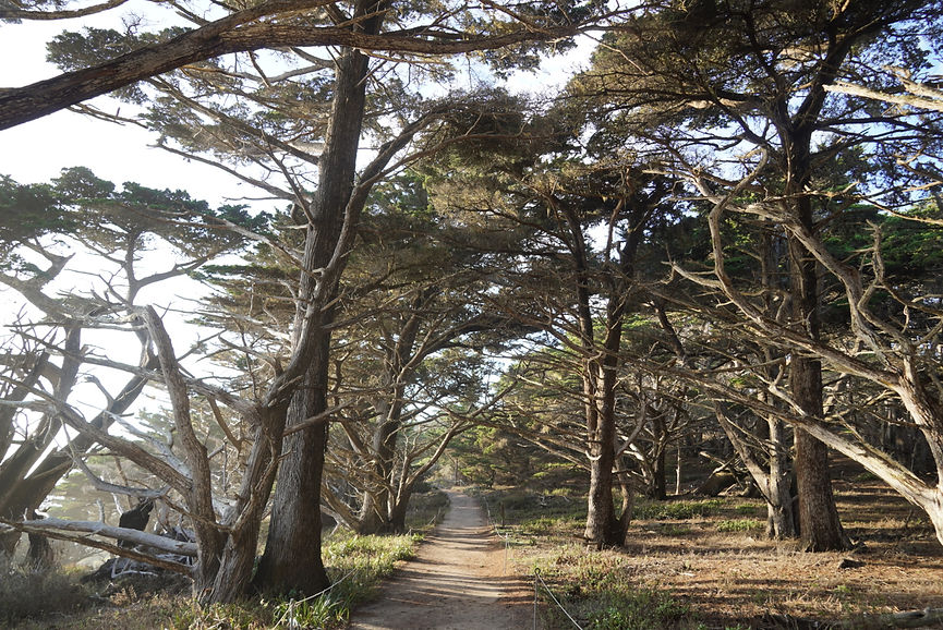 A photo by Gabby Collins, LCSW, a tween and teen therapist offering in-person sessions in Los Angeles, California.