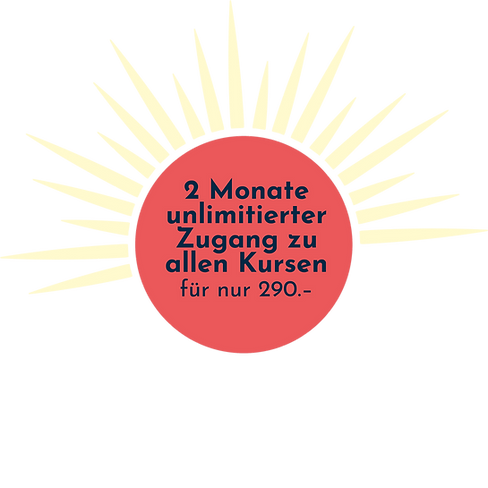 RE4MER Reformer Training Studio Solothurn – Sommer Pass Aktion CHF 290 Fitness Pilates Studio RE4MER Solothurn