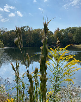 image2 (1).jpeg