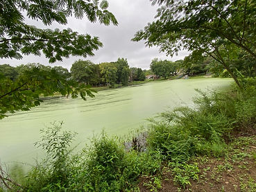 image1 (1).jpeg