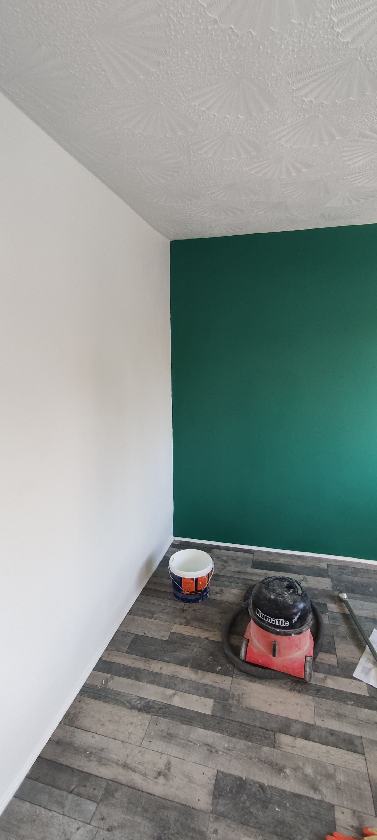 Painting and Decorating a green accent wall for a bedroom refresh.
