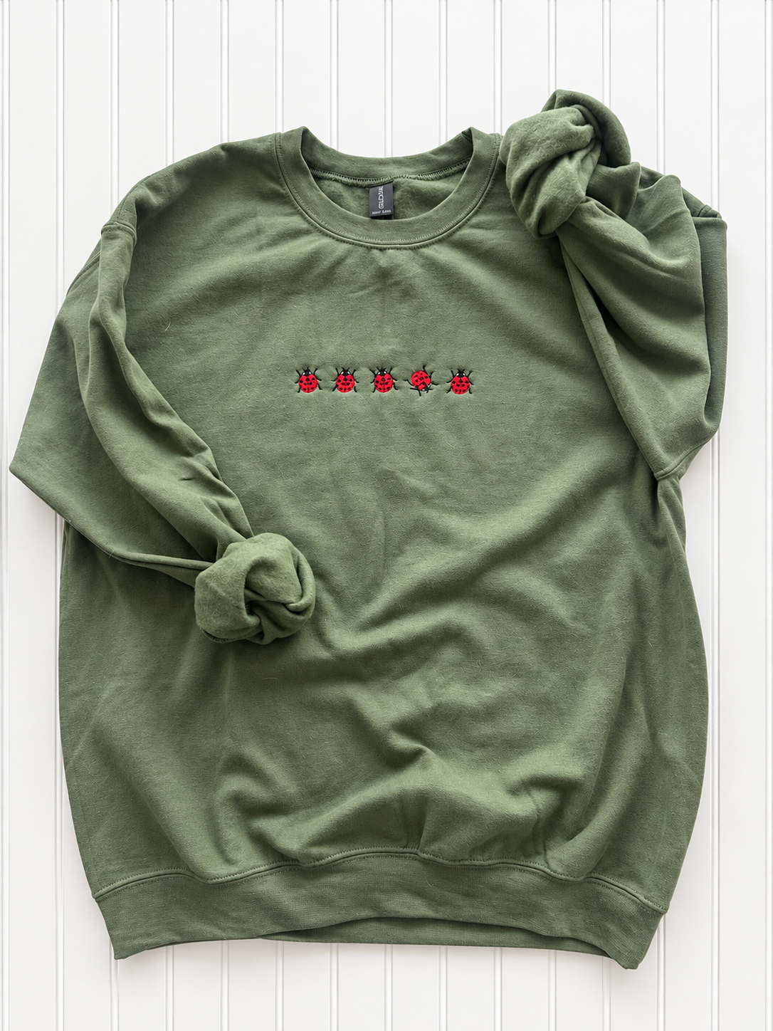 lady bug sweatshirt