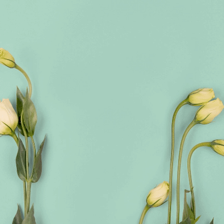 Content_Spring-Summer_2022_1080x1080_April-2.gif