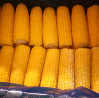 Sweetcorn.jpeg