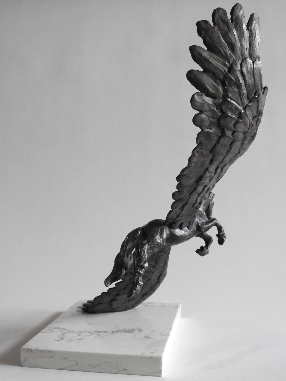 Thumbnail: Pegasus: Soaring