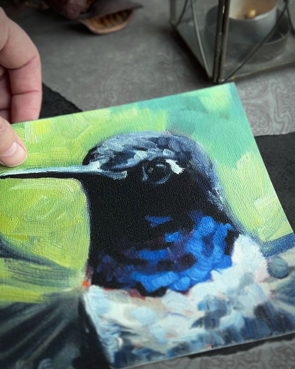 Thumbnail: Azure Jewel, Black-chinned Hummingbird Print