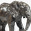 Thumbnail: Little Giant: African Elephant