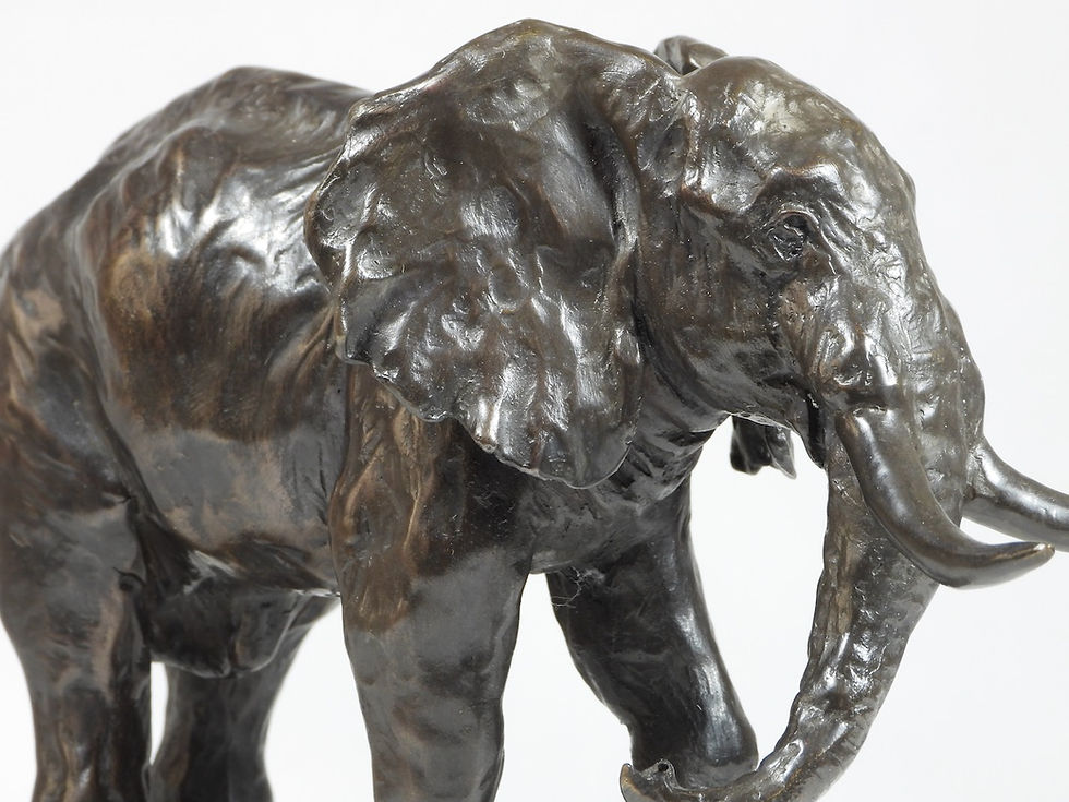 Thumbnail: Little Giant: African Elephant