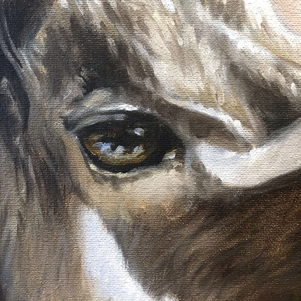 Thumbnail: Young Buck oil painting of a Kudu by Kindrie Grove, detail