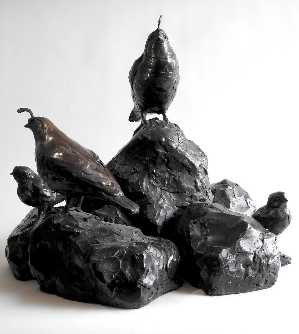 Thumbnail: California Quail Family