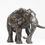 Thumbnail: Little Giant: African Elephant