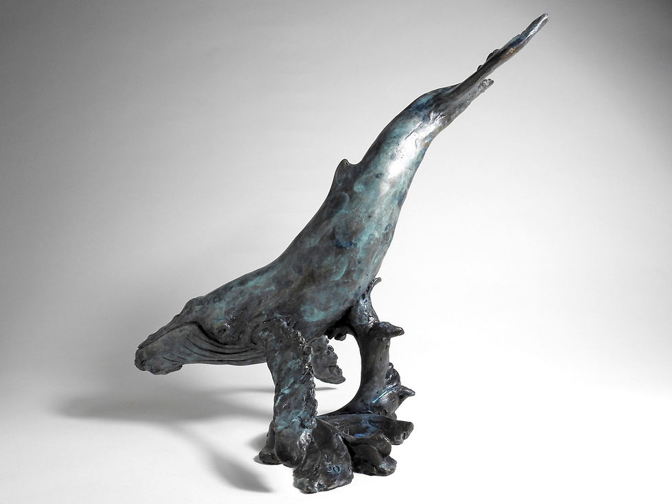 Thumbnail: Voyager: Humpback Whale