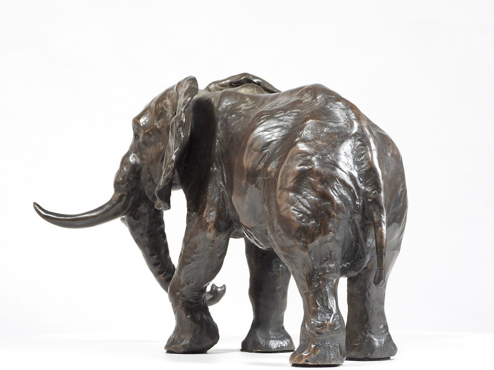 Thumbnail: Little Giant: African Elephant