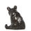Thumbnail: Little Bear