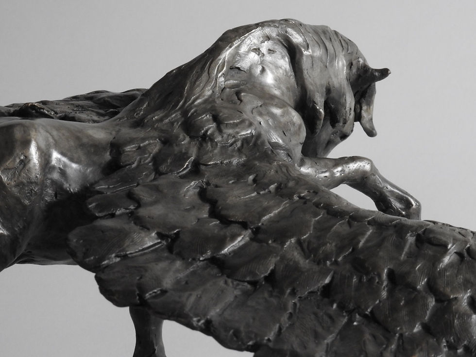 Thumbnail: Pegasus Unfolding