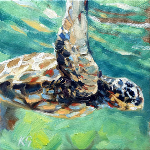 Sea turtle print by Kindrie Grove
