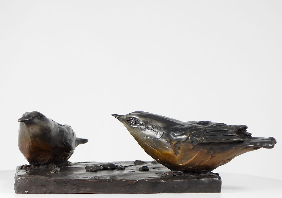 Thumbnail: Seed Swap: Nuthatches