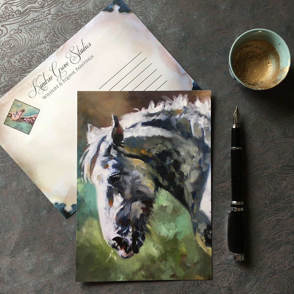 Thumbnail: Horse Postcards (Set of Five)