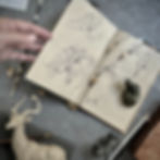 flatlay photo of Kindrie Grove's African wildlife sketchbook, an impala and elephant sculpture and several photos and mementos of her travels