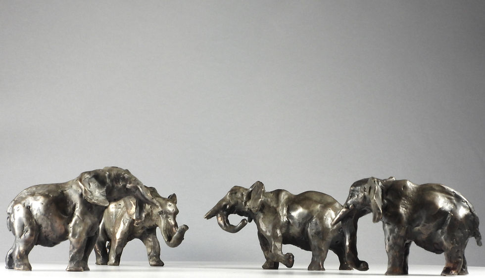 Tiny Giant Set