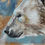 Thumbnail: Golden Creatures: Polar Breath