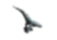 Voyager No BG.png
