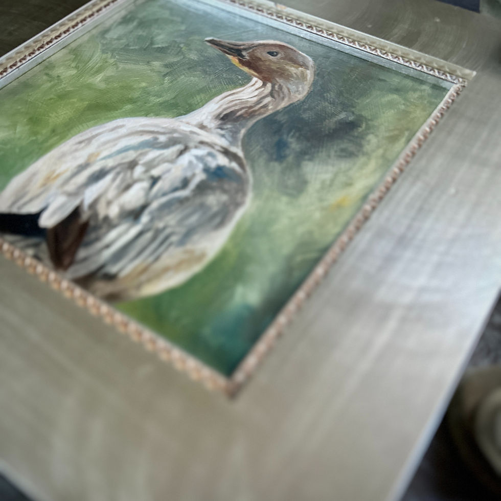 Thumbnail: Snow Goose