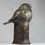 Thumbnail: Fierce One: Northern Pygmy Owl