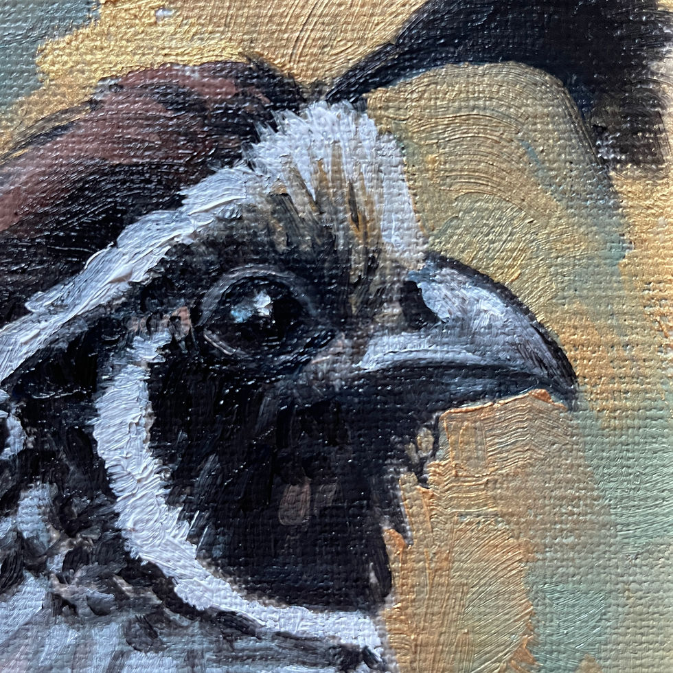 Thumbnail: Golden Creatures: California Quail
