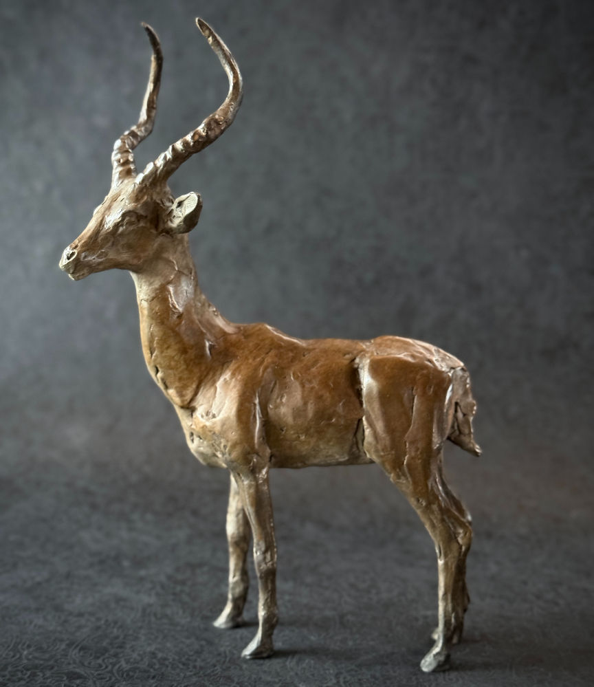 Thumbnail: Impala Buck