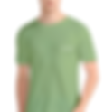 men-s-round-neck-kiwi-green-t-shirt-pure-cotton