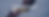 Georgetown LIVES Header 2025.png