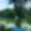 2743D308-3AA1-46C9-BBB2-CFED321E9458.jpeg
