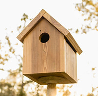 birdhouse.jpg