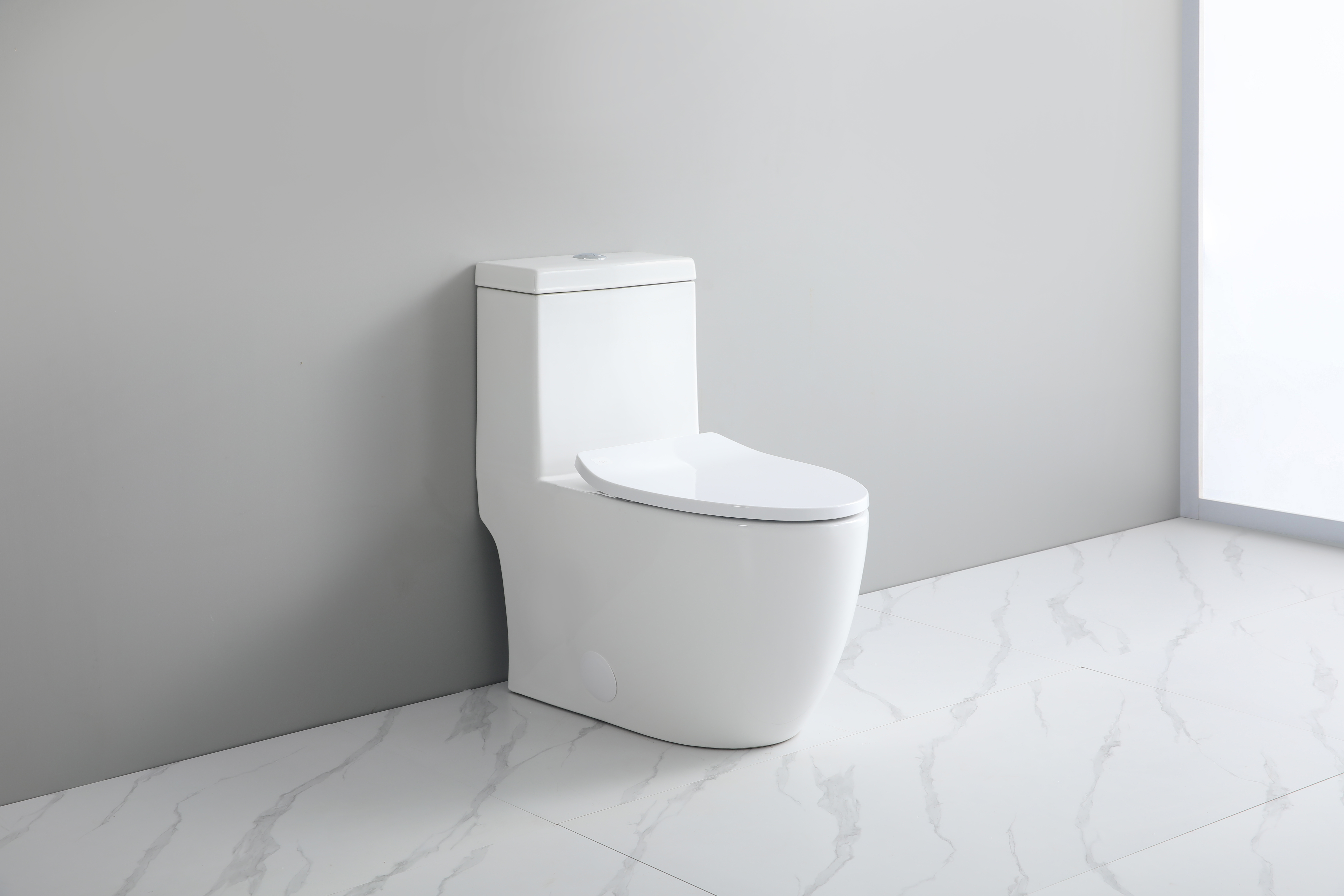 White Toilet