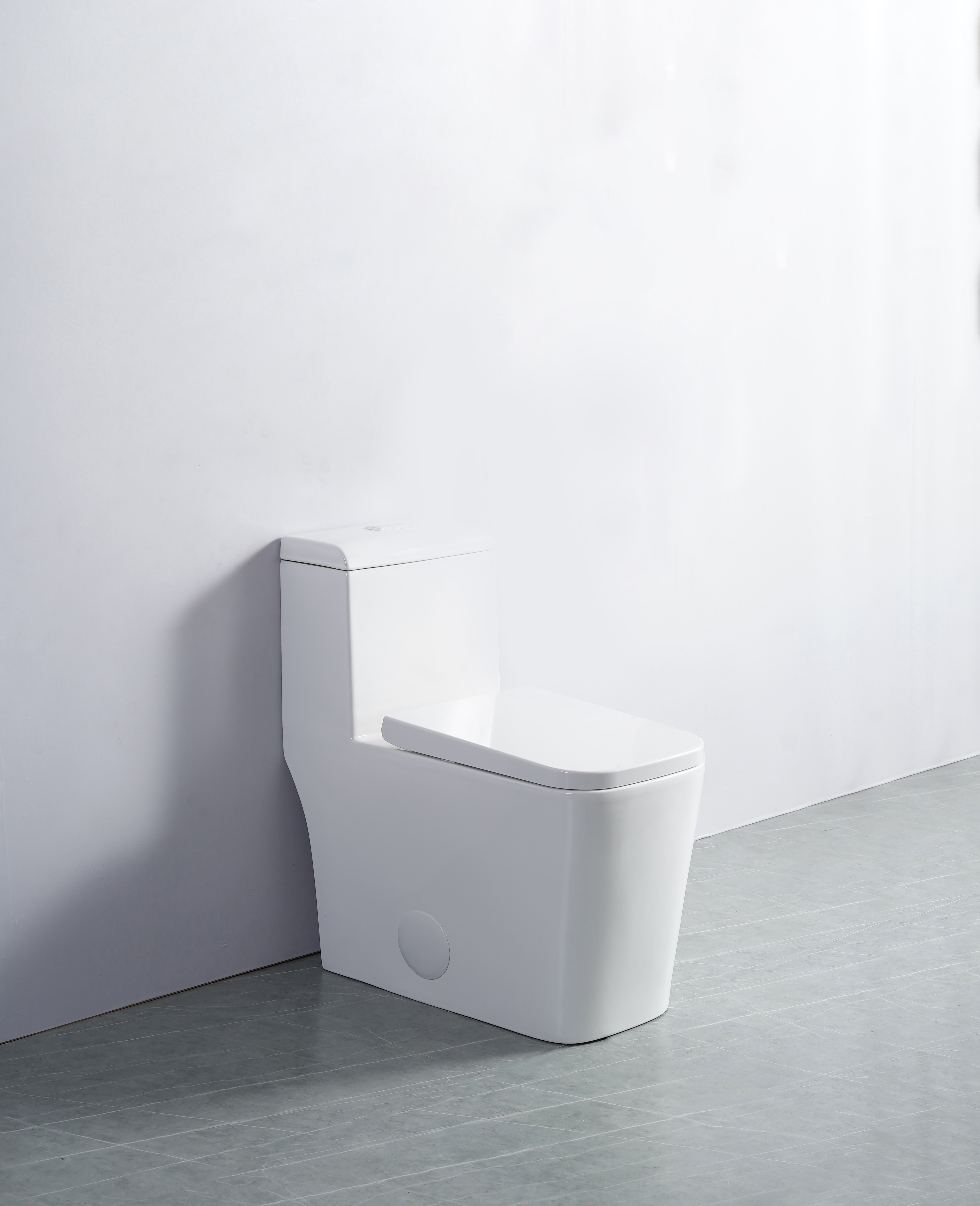 White Toilet