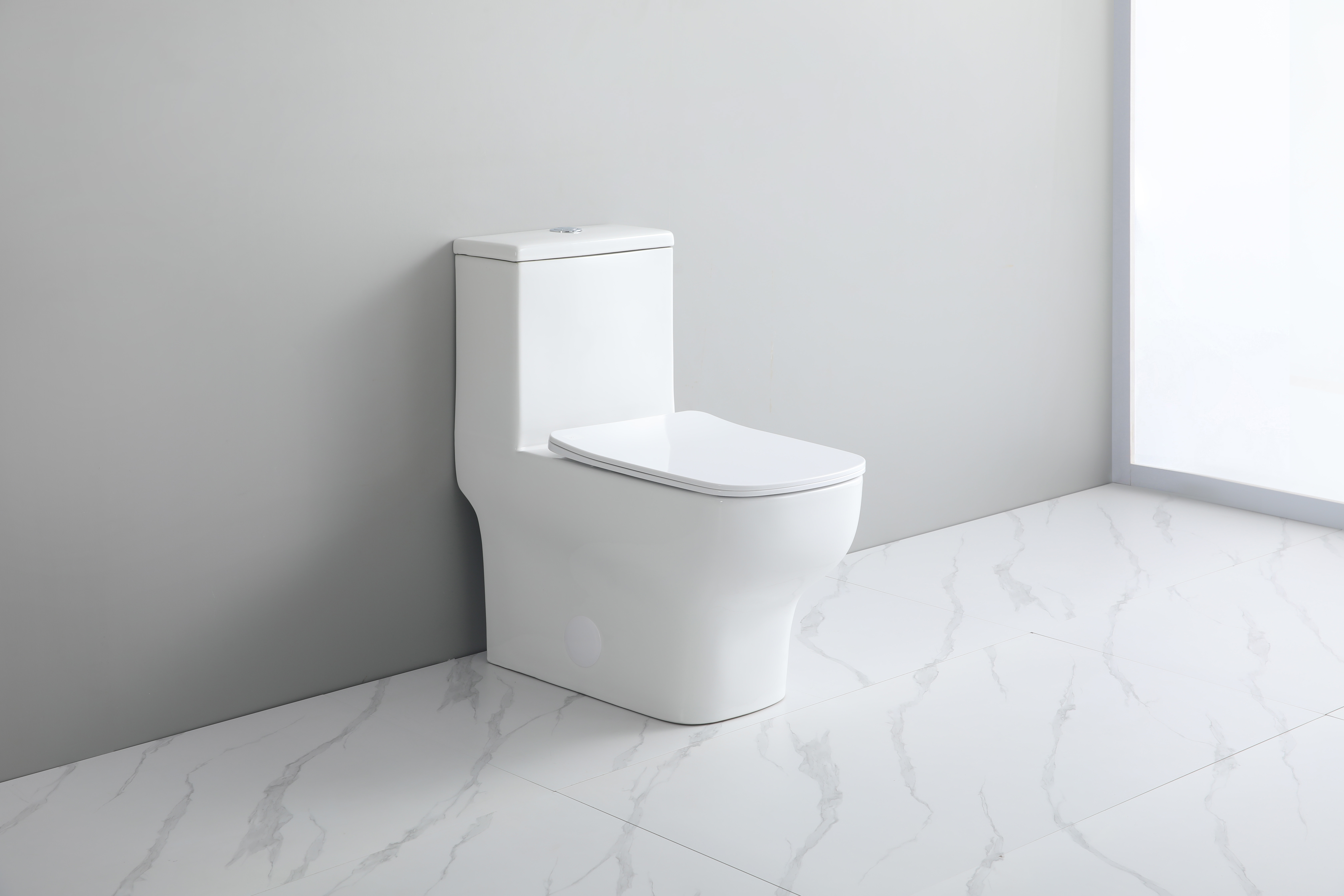 White Toilet