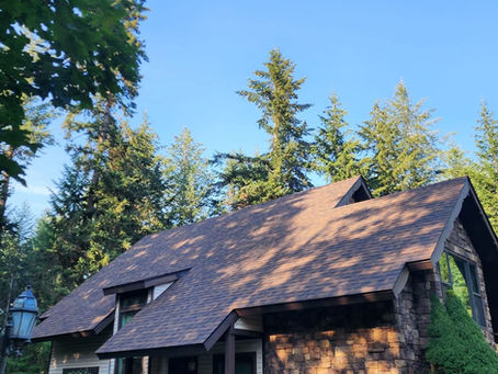 Shingle roof on a home surrounded by trees
