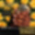 02 Don_t Waste The Pretty - Glenn Jones.jpeg