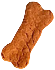 dog treats