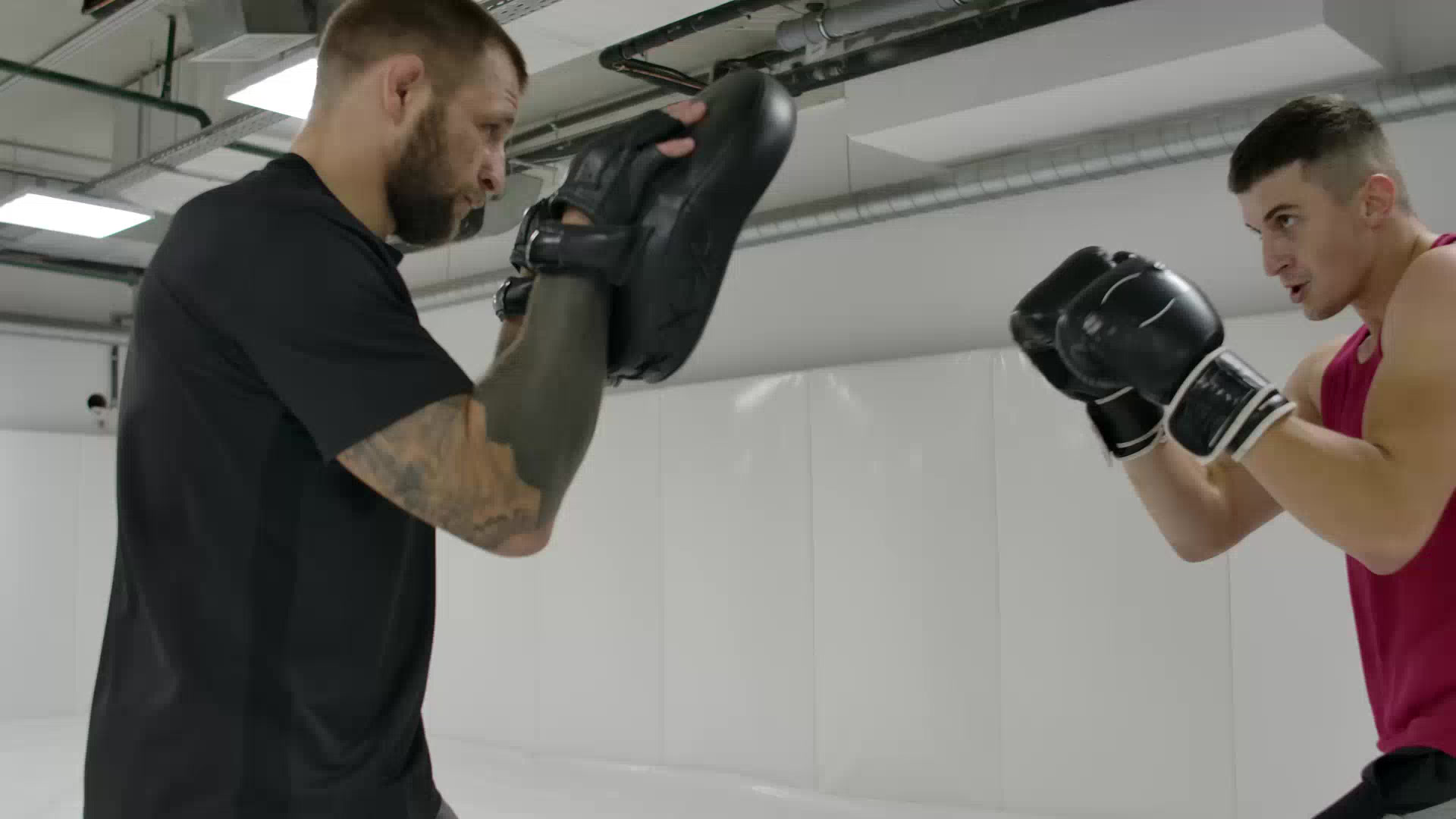 Cate BJJ and Kickboxing facility image